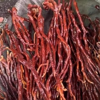 Nấm linh chi sừng hươu