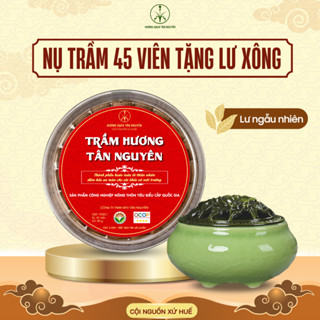 Combo nụ trầm hương và lư xông, nụ trầm hương sạch OCOP, trầm hương 45 viên nụ xông nhà tẩy uế trừ tà