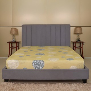 Drap bọc cotton thông dụng Hometex