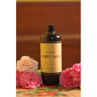 [Kèm quà tặng] Nước gội đầu hữu cơ Karose Shine 500ml