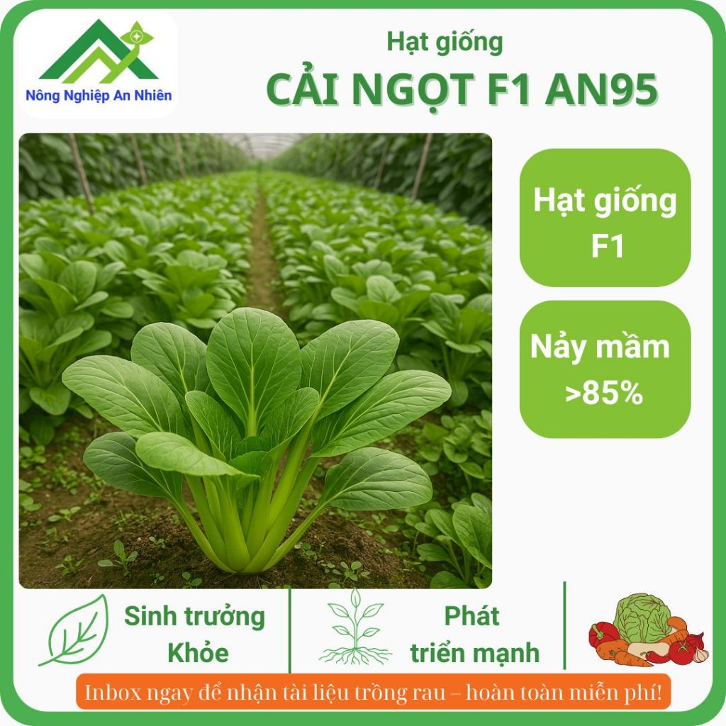 Hạt giống CẢI NGỌT F1 10g - Chất lượng cao