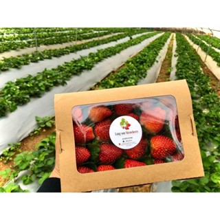  Hộp giấy đựng thức ăn nắp trong combo 100 cái Dung tích: 700ml | 900ml | 1200ml | 1600ml 