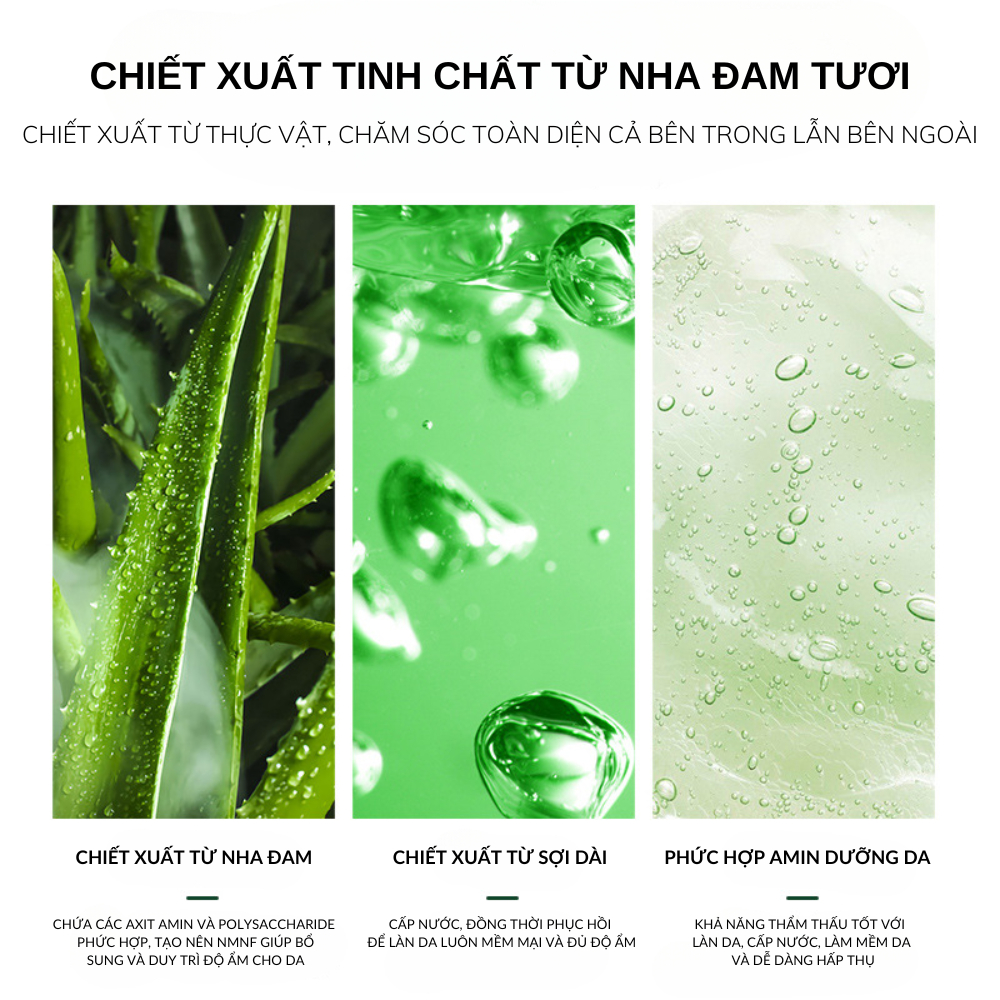 Ảnh 7 của Gel dưỡng nha đam BEABIAI DAILY SPLASH Cấp Ẩm, Làm Dịu, Làm Mát, Phục Hồi Da Hiệu Quả 200g
