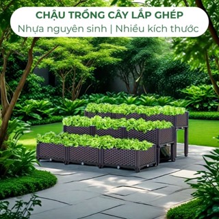 Chậu Trồng Cây Lắp Ghép, Nhựa Nguyên Sinh, Nhiều Kích Thước, Trồng Hoa Hồng, Cây Leo, Rau, Củ, Quả