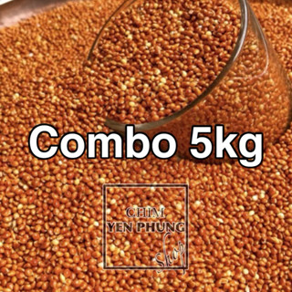  Kê Bóng Đỏ 5kg – Hạt To Đỏ Đẹp | Thức Ăn Cho Chim Cảnh Cu Gáy Yến Phụng... 