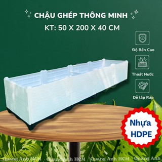 Chậu ghép trồng cây kiểng, trồng rau nhựa HDPE cao cấp KT 50x200x40cm - Quang Anh HCM