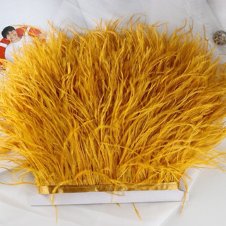 Lông vũ thời trang cao cấp đính váy áo, dạ hội, đồ hanmade