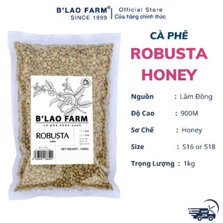 Cà phê nhân xanh Robusta Honey B'Lao Farm chưa rang, chế biến theo phương pháp honey loại thượng hạng S18HN