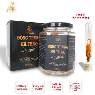 Nấm đông trùng hạ thảo khô sấy thăng hoa (10gr) - Nuôi trồng 100% Organic trên Cao nguyên Đà Lạt