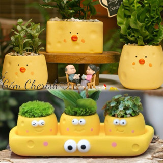 Chậu gà vàng, chậu động vật trồng cây cảnh sen đá xương rồng , cây văn phòng. chậu đất nung