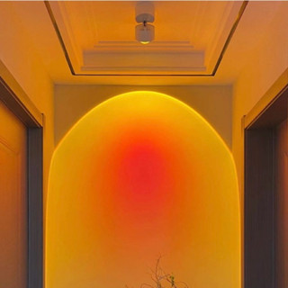 Đèn hoàng hôn, đèn rọi chiếu tranh decor xoay 350 độ gắn trần gắn tường DR 05 HAPOVA JUCSE