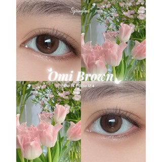  Lens Silicone Hydrogel tự nhiên Omi Brown nâu hồng da không giãn 1 month | Kính áp tròng Springlens 
