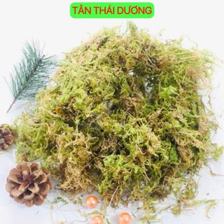  50gr Rêu rừng  Rêu khô  dùng trang trí chậu hoa tiểu cảnh - Giúp giữ ẩm cho hoa lan 