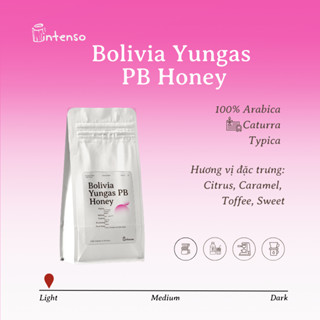 (Gói 50g) Cà Phê Rang Sáng - BOLIVIA YUNGAS PEABERRY HONEY - Intenso Coffee Roasters