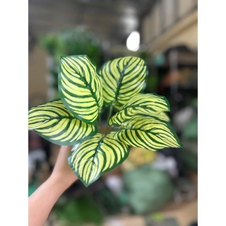 cụm lá - hoa lụa - hoa giả