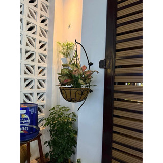 Combo 4 chậu hoa 25cm