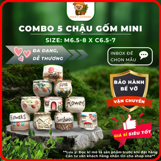 Chậu gốm mini trồng sen đá - xương rồng (combo 5 chậu, inbox để được chọn mẫu)