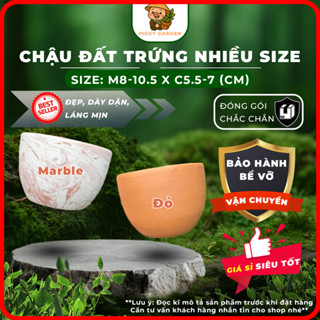 Chậu đất nung - Chậu trồng sen đá, xương rồng - Chậu trồng cây - Chậu trứng 8-10.5cm x 5.5-7cm