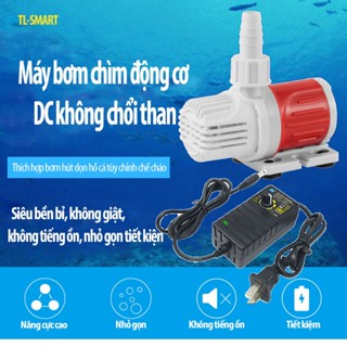 Máy bơm chìm DC mini 12v không giật, bơm hồ cá, bể cá, tiểu cảnh, quạt hơi nước kèm nguồn 220v
