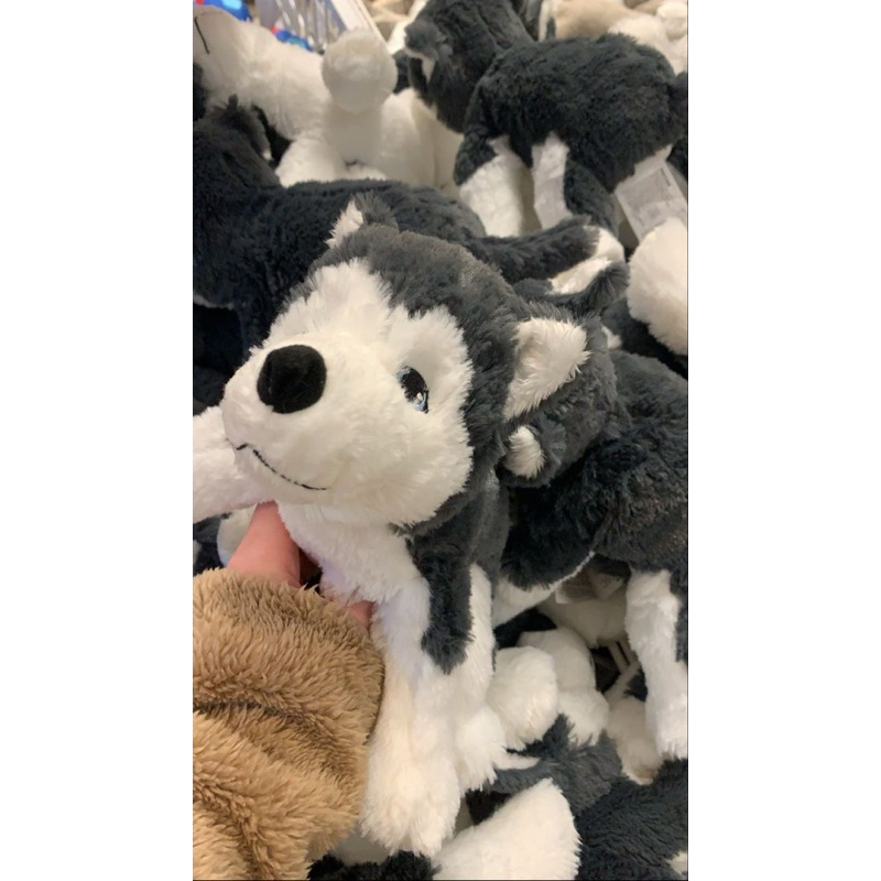 Chó bông husky Ikea nhỏ