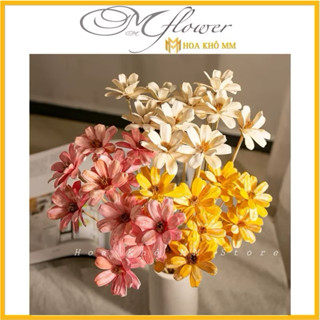 1 bó 10 cành Hoa khô handmade Cúc Hoạ Mi khô phụ kiện cắm hoa phong cách Bắc Âu vintage