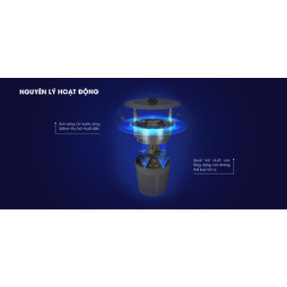 Đèn bắt muỗi thông minh Rạng Đông siêu bền, không tiếng ồn, không hóa chất DBM01 5W