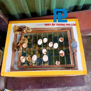Khay Đảo 50 Trứng Tự Động, Khung Gỗ Chắc Chắn Đảo Lăn Đều Giúp Trứng Dễ Nở, Tỷ Lệ Cao Trên 95%.