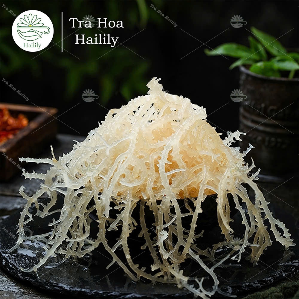 Rong Sụn Muối ( Rong Biển Trắng) Nha Trang