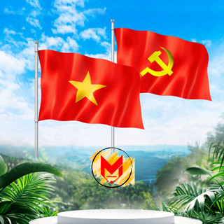Cờ Tổ Quốc Việt Nam Cờ Đảng Vải Phi Bóng Treo Ban Công Chung Cư Gia Đình Quốc Kì Cờ Đỏ Sao Vàng