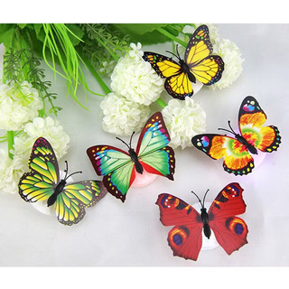 Đèn led 3d hình con bướm phát sáng, trang trí phòng siêu xinh (không có miếng dán)