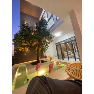 👑 Hồng Hạc Đỏ Lớn Decor Cảnh Quan Sân Vườn, Tiệc Cưới, Studio Chụp Hình, BackGround Cửa Hàng