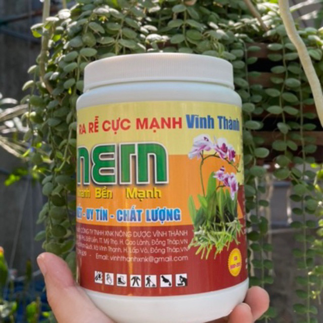 N3M VĨNH THÀNH 500gr _ RA RỄ CỰC MẠNH