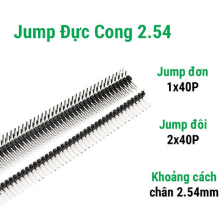 Jump Đực Đơn 2.54 Cong 1*40P