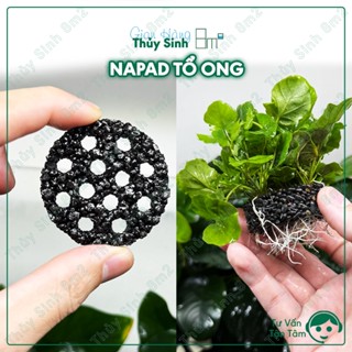 (1 Cái) Napad Tổ Ong | Giá Thể Ươm Trồng Rêu, Ráy, Bucep, Cây Thủy Sinh | 8m2