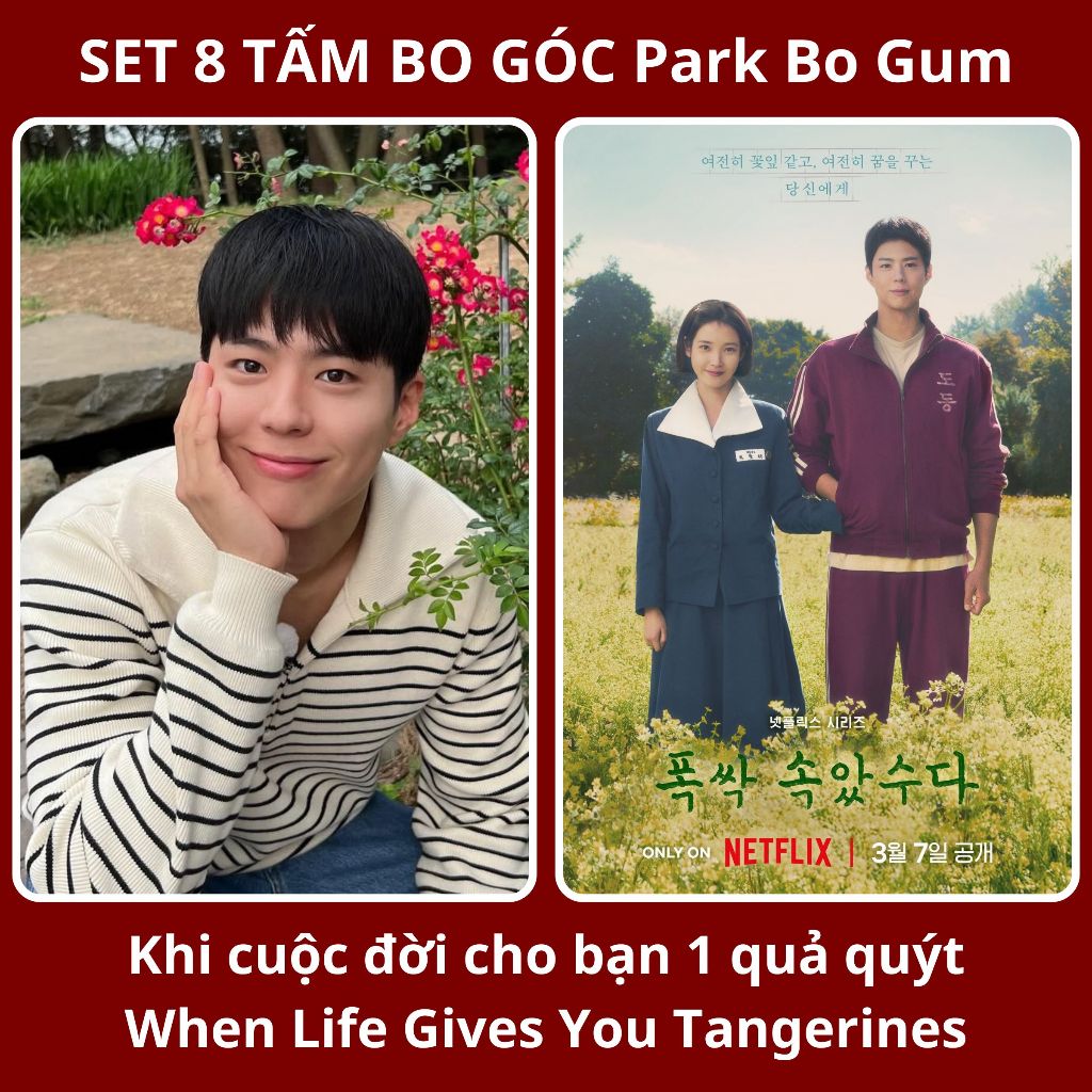 Park Bo Gum set 8 thẻ bo góc When Life Gives You Tangerines/ Khi cuộc đời cho bạn quả quýt