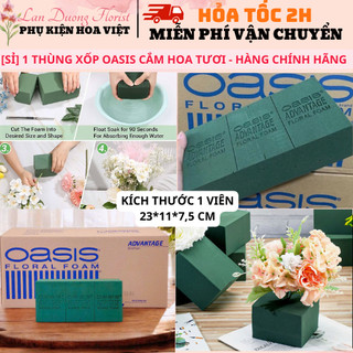   SỈ  1 THÙNG XỐP OASIS cắm hoa tươi giữ nước - Hàng Chính Hãng Loại 1 - Dùng để cắm hoa tươi hoa giả,... 