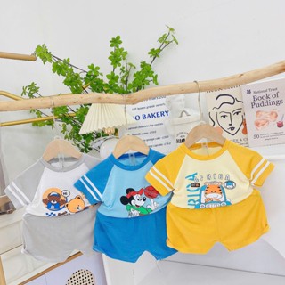 Bộ đồ THỂ THAO cộc tay cho bé Binbaby, chất cotton peptit thun lạnh mềm mại thoáng mát.