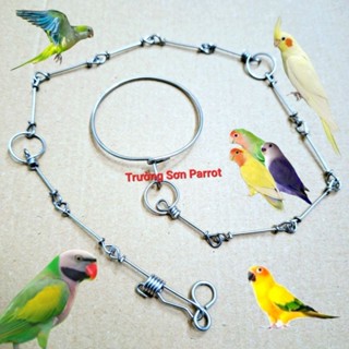 XÍCH ĐEO CHÂN CHỐNG XOẮN CHO CHIM VẸT LOVEBIRD, SUN, GREENCHECK, NGỰC HỒNG, COOKATEL,,,,,