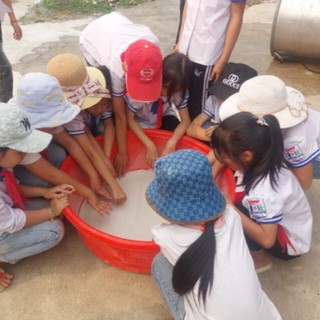 Tinh bột củ dong riềng Lai Châu
