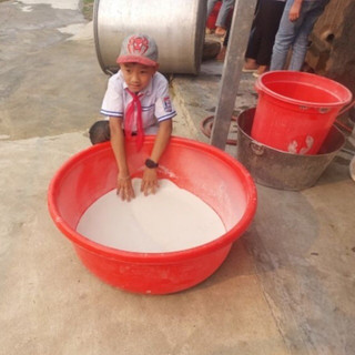 Tinh bột củ dong riềng Lai Châu
