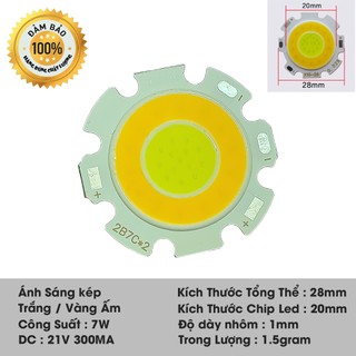Mắt led cob 3 màu ( 7w)