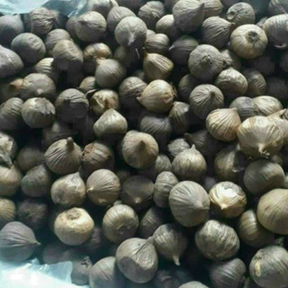Tỏi đen cô đơn loại 1.