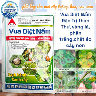 Thuốc trừ bệnh Vua Diệt Nấm: thán thư; phấn trắng; ẻo cây con; đốm lá, thối búp, thối nhũn; nấm cóc; Sạch Bệnh Xanh Cây