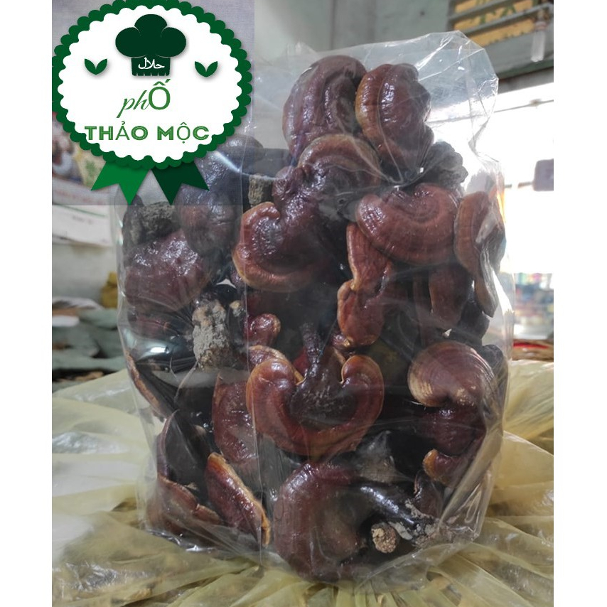 Nấm Lim Xanh 100gr