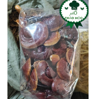 Nấm Lim Xanh 100gr