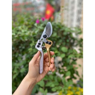 Kéo cắt cành Kapusi Japan