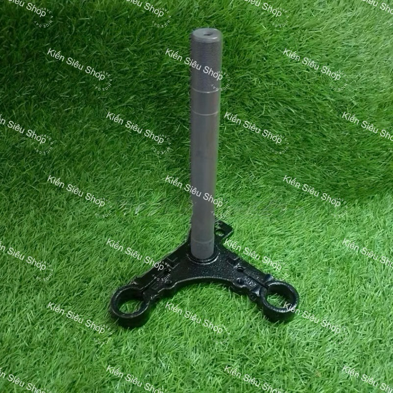 chảng ba win win 100