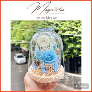 Chụp thuỷ tinh đế gỗ hoa hồng bất tử, quà tặng giáng sinh, phụ kiện chụp ảnh sản phẩm, decor trang trí bàn trang điểm