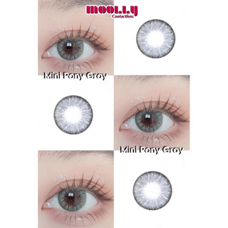 Contact lens Pony/Daâyne Xám Tây Gray ( note độ cận ở ghi chú)