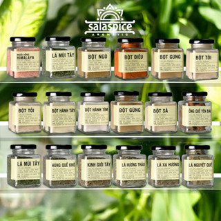 Bột tỏi Bột hành Bột ớt Bột gừng Bột sả Bột ướp thịt nướng SALA SPICE Bột gia vị Tây & Ta chất lượng